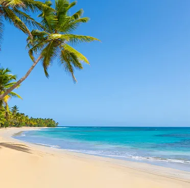cruise banner